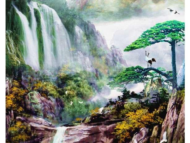 超数码宝贝4.0